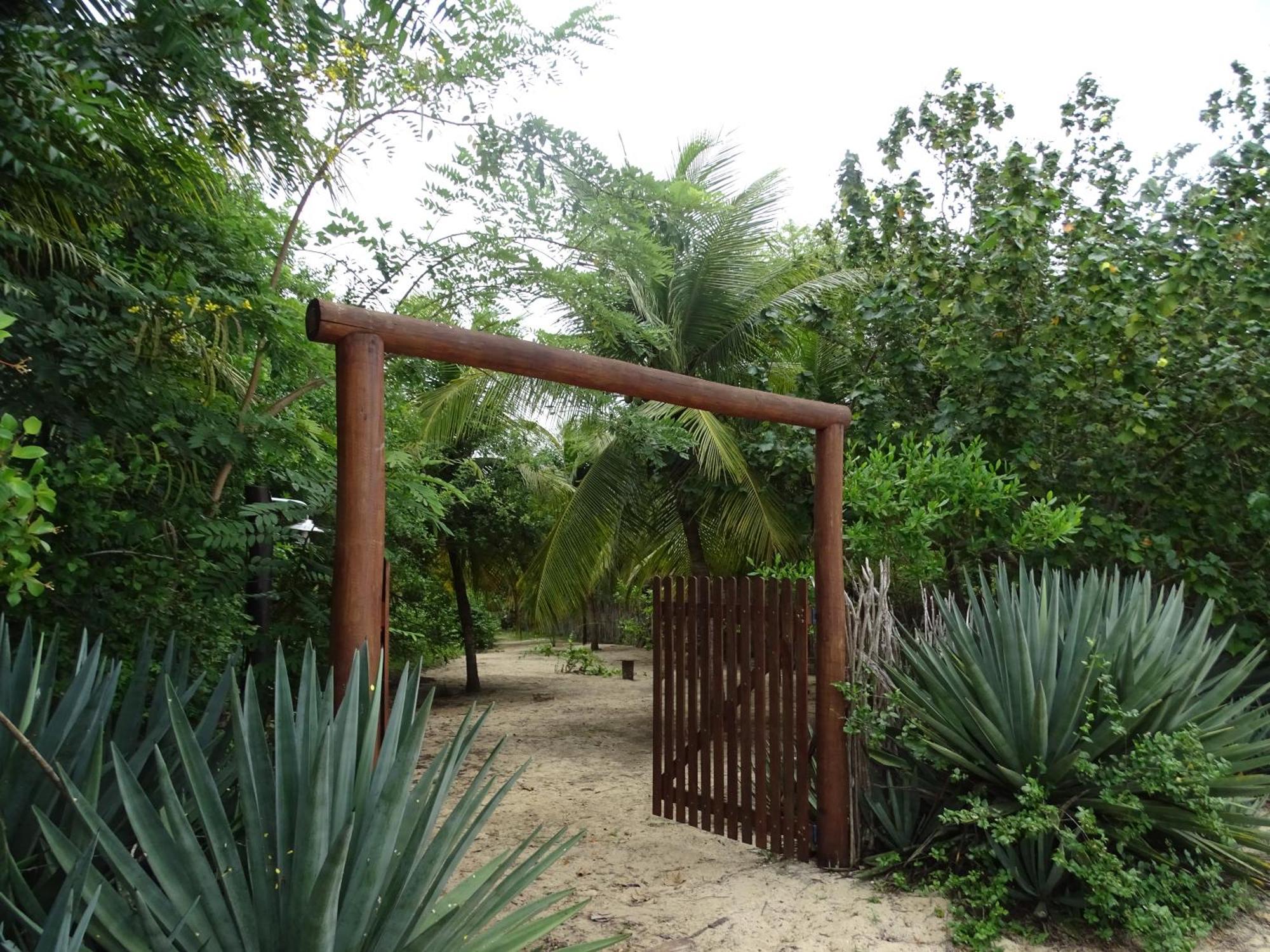 Jungle House Hotel São Miguel do Gostoso Exterior foto