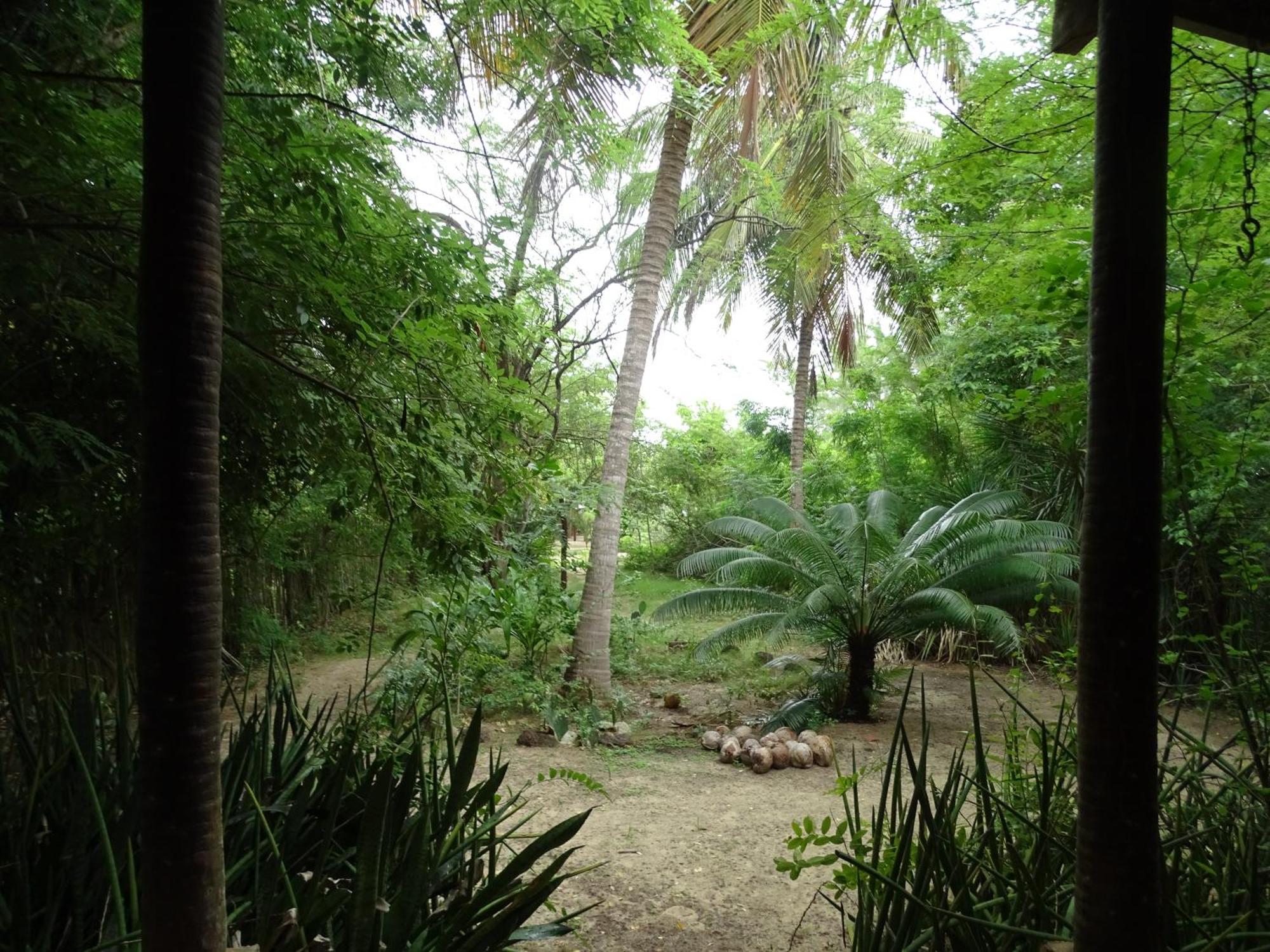 Jungle House Hotel São Miguel do Gostoso Exterior foto