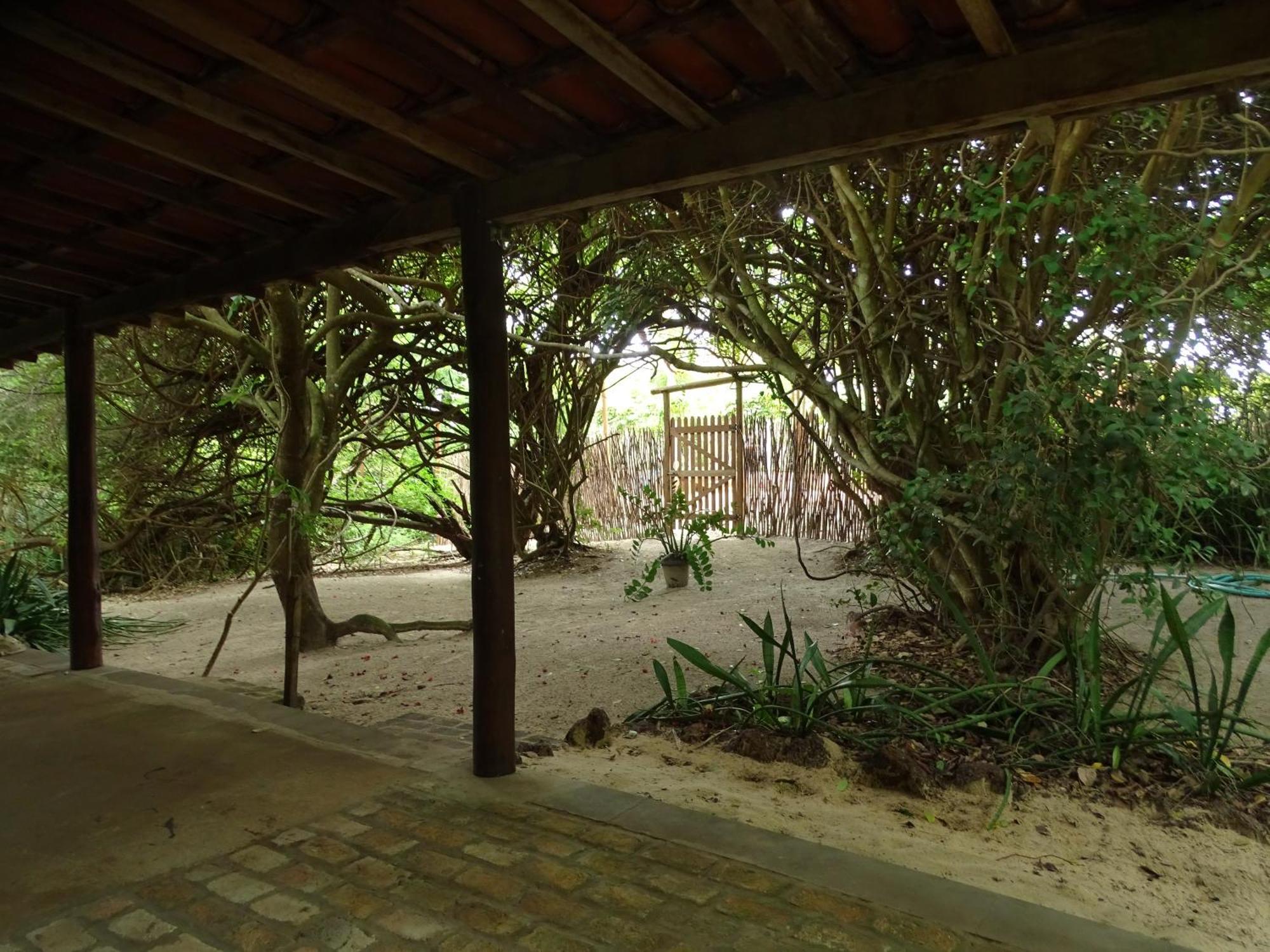 Jungle House Hotel São Miguel do Gostoso Exterior foto